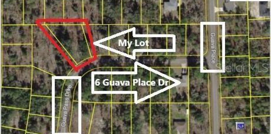 Land in Ocklawaha, Florida № 2159598