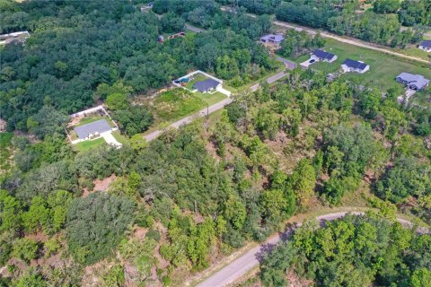 Land in Ocklawaha, Florida № 2159598 - photo 5