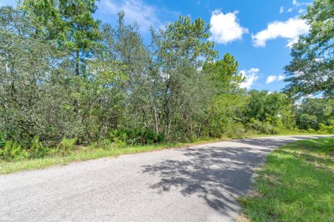 Land in Ocklawaha, Florida № 2159598 - photo 21