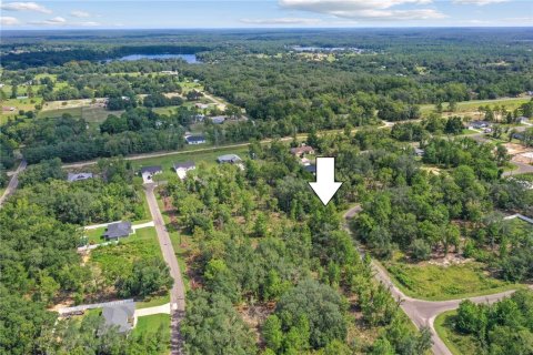 Land in Ocklawaha, Florida № 2159598 - photo 2