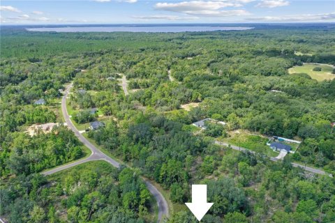 Land in Ocklawaha, Florida № 2159598 - photo 8