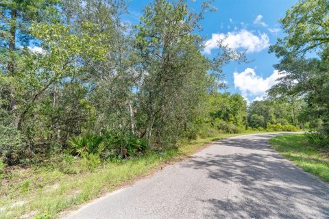 Land in Ocklawaha, Florida № 2159598 - photo 22