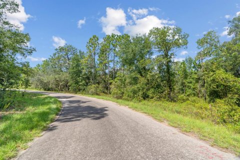 Land in Ocklawaha, Florida № 2159598 - photo 20