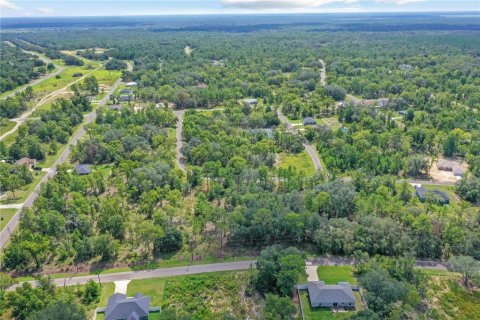 Land in Ocklawaha, Florida № 2159598 - photo 16