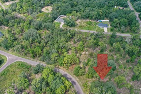 Land in Ocklawaha, Florida № 2159598 - photo 13