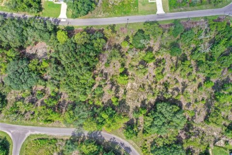 Land in Ocklawaha, Florida № 2159598 - photo 3