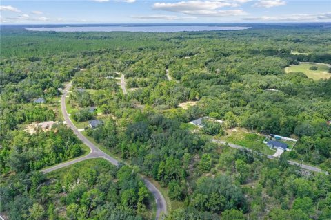 Land in Ocklawaha, Florida № 2159598 - photo 14