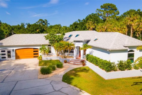 Casa en venta en New Smyrna Beach, Florida, 3 dormitorios, 307.51 m2 № 1545416 - foto 1