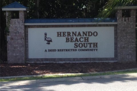 Land in Hernando Beach, Florida № 293618 - photo 8