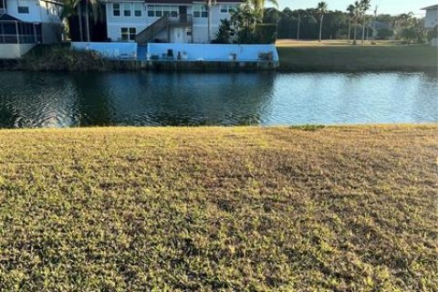 Land in Hernando Beach, Florida № 293618 - photo 1