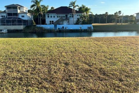 Land in Hernando Beach, Florida № 293618 - photo 6