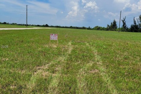 Terrain à Port Charlotte, Floride № 2158249