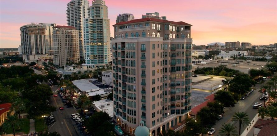 Condo à Saint Petersburg, Floride, 3 chambres  № 2400207