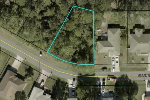 Land in Palm Coast, Florida № 1845422 - photo 1