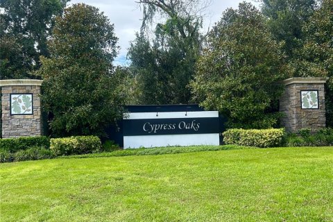 Villa ou maison à louer à Groveland, Floride: 4 chambres, 174.01 m2 № 1903230 - photo 21