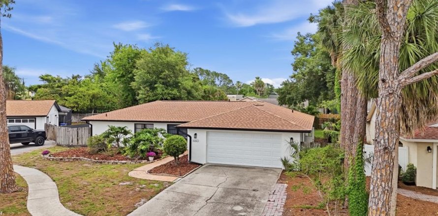 House in Tampa, Florida 4 bedrooms, 232.81 sq.m. № 2210433