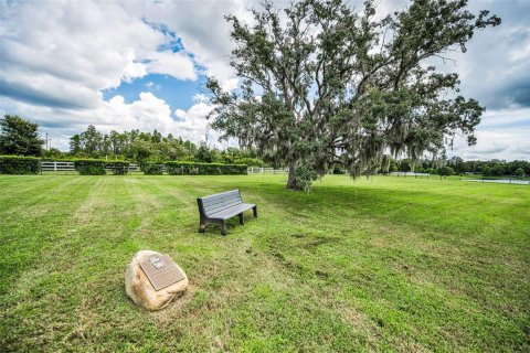 Villa ou maison à vendre à New Port Richey, Floride: 3 chambres, 187.38 m2 № 1885597 - photo 23