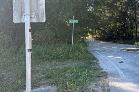Land in Ocala, Florida № 2393430 - photo 2