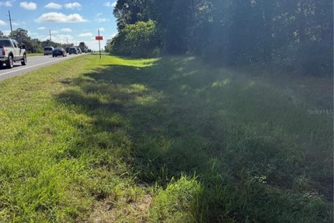 Land in Ocala, Florida № 2393430 - photo 3