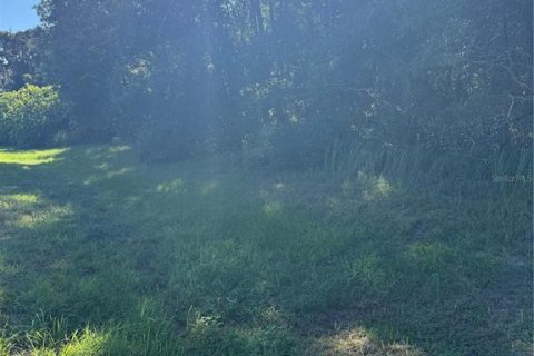 Land in Ocala, Florida № 2393430