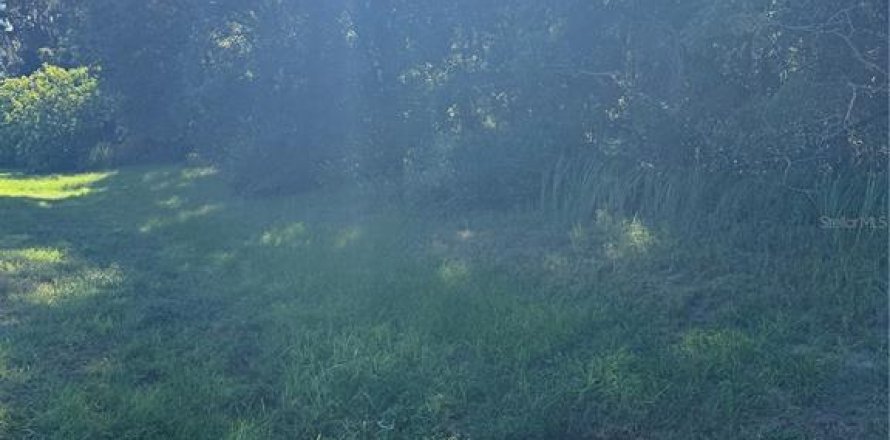 Land in Ocala, Florida № 2393430