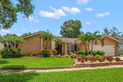 House in Clearwater, Florida 5 bedrooms, 264.96 sq.m. № 1812545 - photo 1