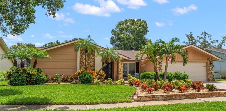 House in Clearwater, Florida 5 bedrooms, 264.96 sq.m. № 1812545