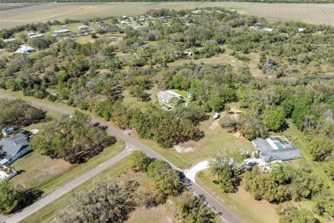 Land in Wimauma, Florida № 1538155 - photo 2