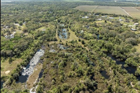 Land in Wimauma, Florida № 1538155 - photo 4