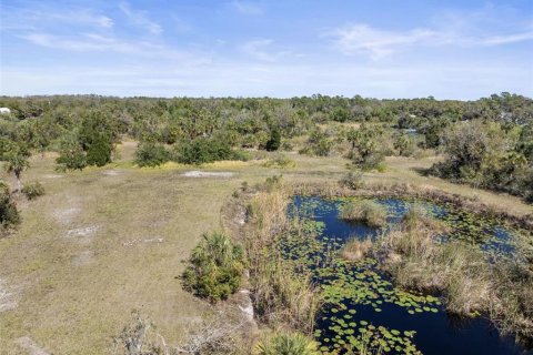 Land in Wimauma, Florida № 1538155 - photo 7