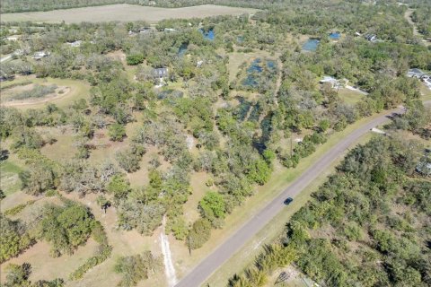 Land in Wimauma, Florida № 1538155 - photo 11