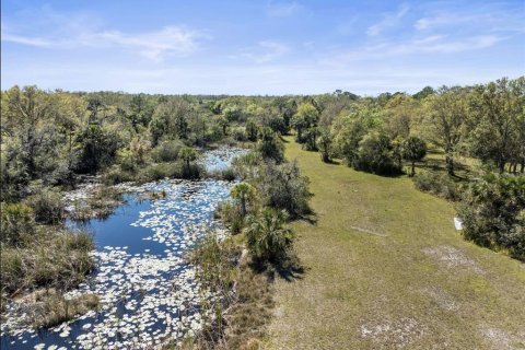 Land in Wimauma, Florida № 1538155 - photo 6