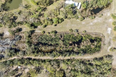 Land in Wimauma, Florida № 1538155 - photo 10