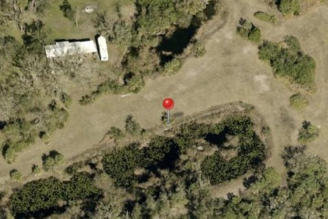 Land in Wimauma, Florida № 1538155 - photo 1