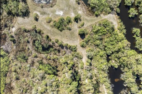 Land in Wimauma, Florida № 1538155 - photo 9