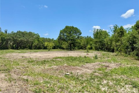 Terreno en venta en Ocala, Florida № 1657117 - foto 4