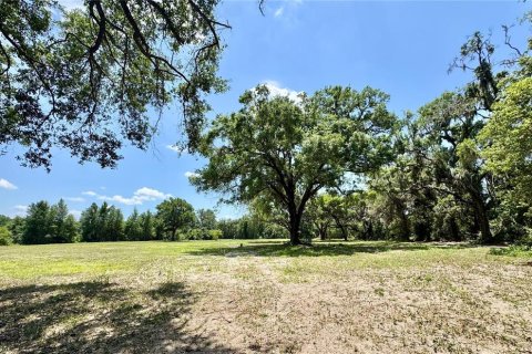 Terreno en venta en Ocala, Florida № 1657117 - foto 1