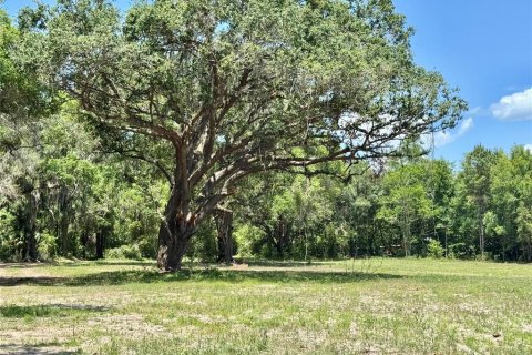 Terreno en venta en Ocala, Florida № 1657117 - foto 7