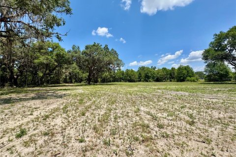 Terreno en venta en Ocala, Florida № 1657117 - foto 8