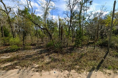 Terrain à Interlachen, Floride № 2209930