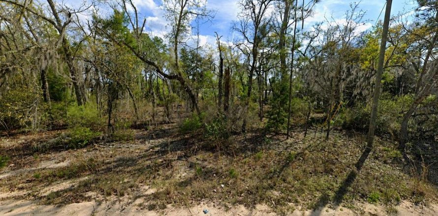 Terrain à Interlachen, Floride № 2209930