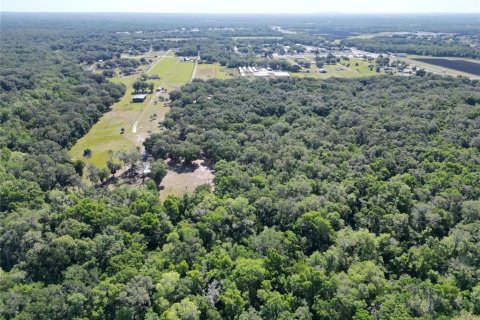Terreno en venta en Plant City, Florida № 1816284 - foto 29
