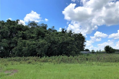 Terreno en venta en Plant City, Florida № 1816284 - foto 5