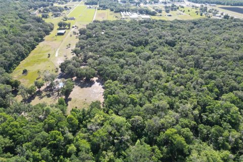 Terreno en venta en Plant City, Florida № 1816284 - foto 27