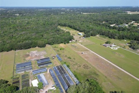 Terreno en venta en Plant City, Florida № 1816284 - foto 24