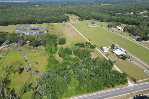 Terreno en venta en Plant City, Florida № 1816284 - foto 19