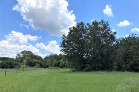 Terreno en venta en Plant City, Florida № 1816284 - foto 7