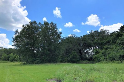 Terreno en venta en Plant City, Florida № 1816284 - foto 6