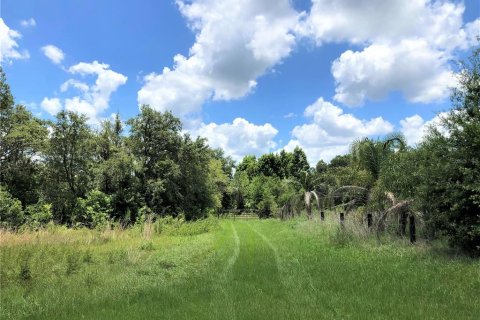 Terreno en venta en Plant City, Florida № 1816284 - foto 13