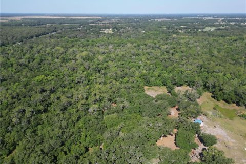 Terreno en venta en Plant City, Florida № 1816284 - foto 26